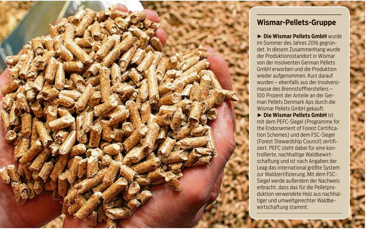 Hochverdichtete Holzpellets gelten als nachwachsender, klimaneutraler Rohstoff zur Energieerzeugung. Die Leag gehört jetzt zu den ganz großen Playern auf dem deutschen Markt.