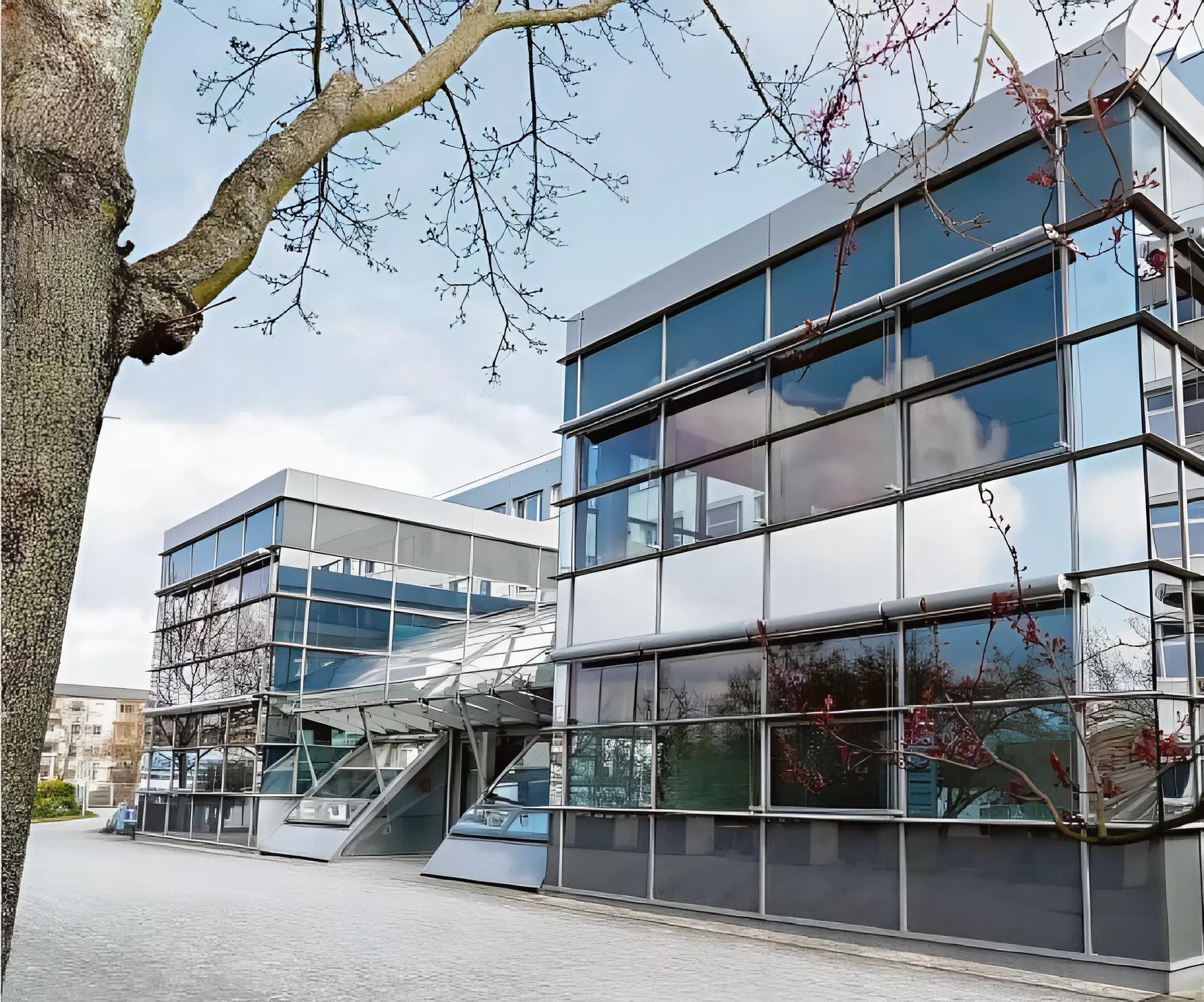 Die künftigen Studierenden des Modellstudiengangs Humanmedizinin Cottbus werden zunächst im Glasbau der ehemaligen Notaufnahme des Klinikums untergebracht.