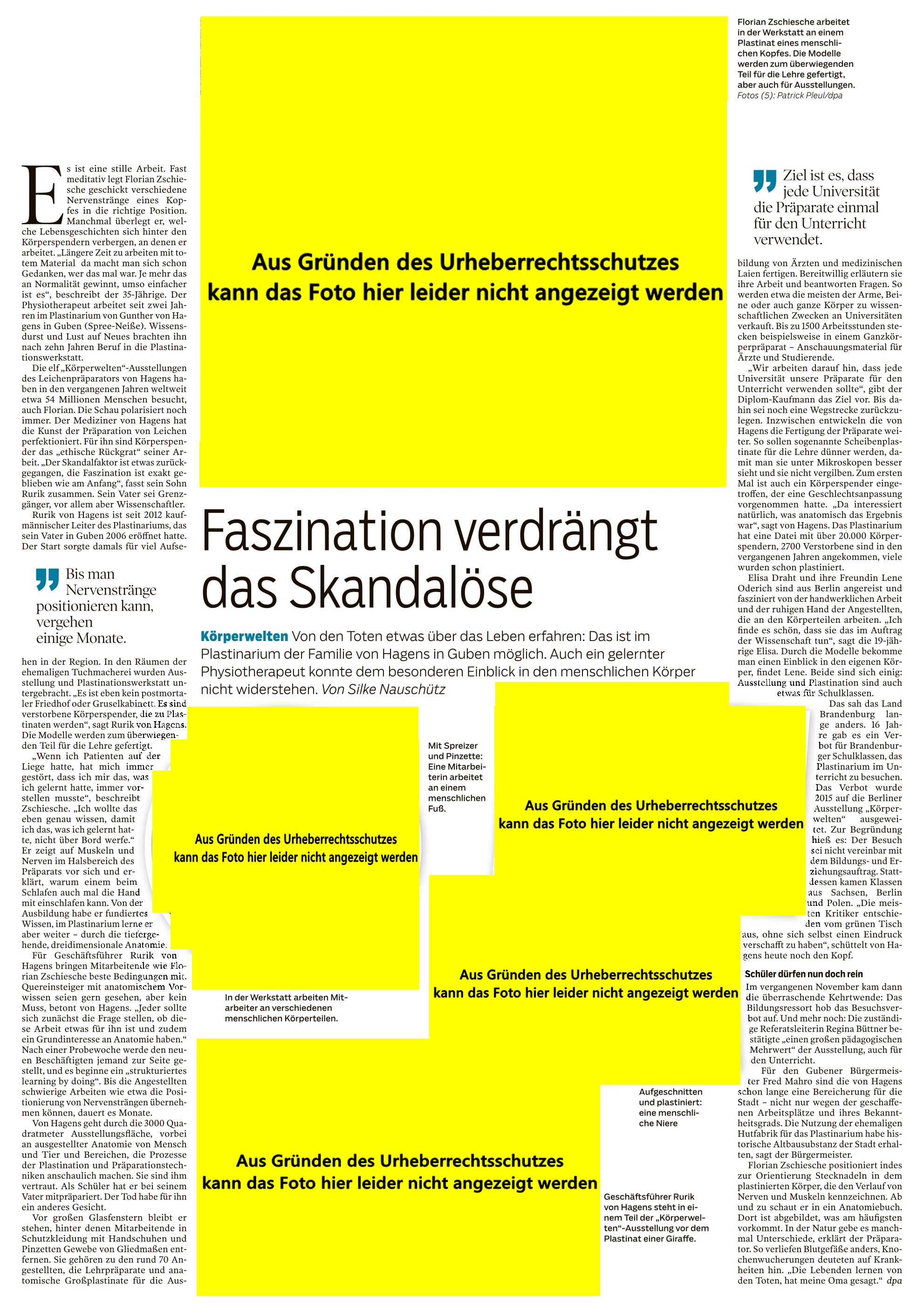 Die Faszination der Anatomie wird von Guben aus in die ganze Welt exportiert