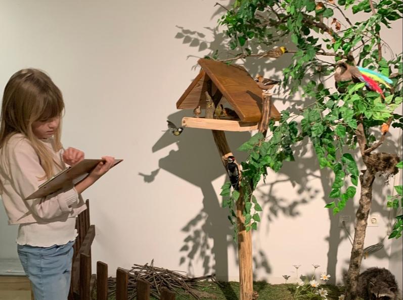 Naturkunde & Stadtgeschichte im Stadtmuseum Cottbus