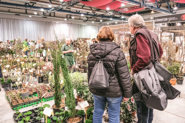 Einblick in eine der letzten Gartenträume-Veranstaltungen