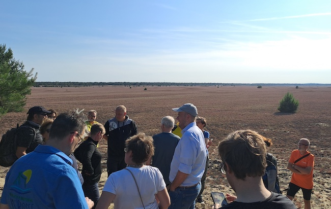 Tourenprogramm Naturwelt Lieberoser Heide