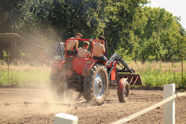 Eines der drei Siegerbilder vom Kreis-Erntefest Fotowettbewerb 2024 in Peickwitz.