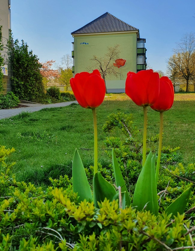 Frühling im WIS-Quartier Park der vier Jahreszeiten