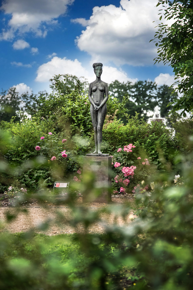 Ostdeutscher Rosengarten in Forst/L.