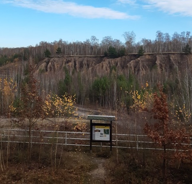 Niederlausitzer Heidelandschaft
