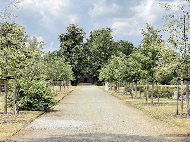 Der Nordfriedhof am Cottbuser Nordring