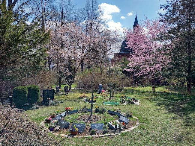 Paargrabstätten am Baum und Urnen-Wahlgrabstätten