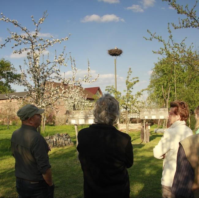 Besucher beim Rundgang im Naturkundezentrum Spreeaue