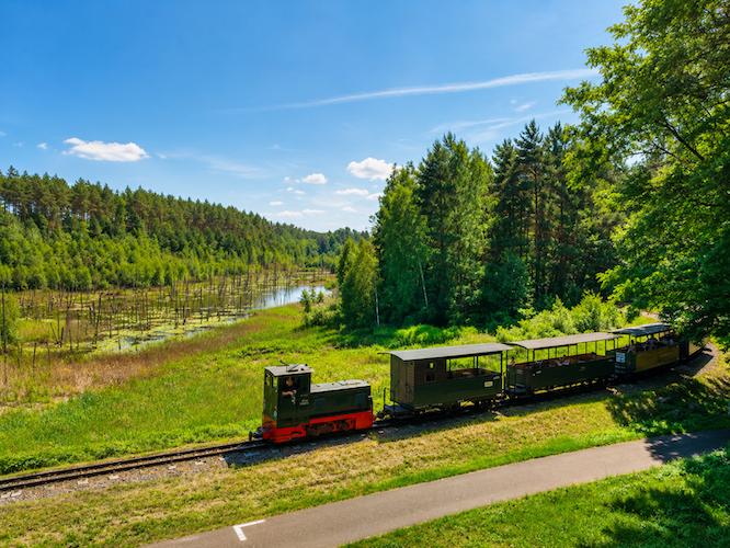 Die Waldeisenbahn fährt am sogenannten „Toten Wald“ vorbei. Die abgestorbenen Baumstämme wirken wie Mahnmale einer Umweltkatastrophe – tatsächlich sind sie jedoch das Ergebnis natürlicher Prozesse in ehemaligen Abbaugebieten des Raseneisenerzes. Genau dieser ungewöhnliche Anblick machte die Fahrt für viele Besucher zu einem besonderen Erlebnis.