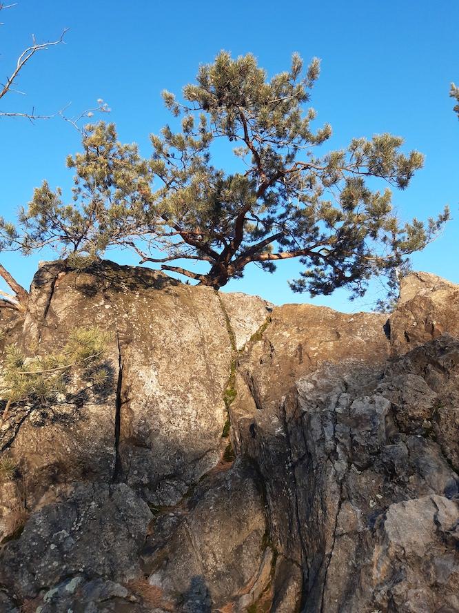 Rothsteiner Felsen