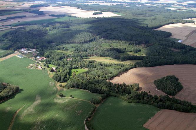 Der Wald von Białogóra aus der Vogelperspektive
