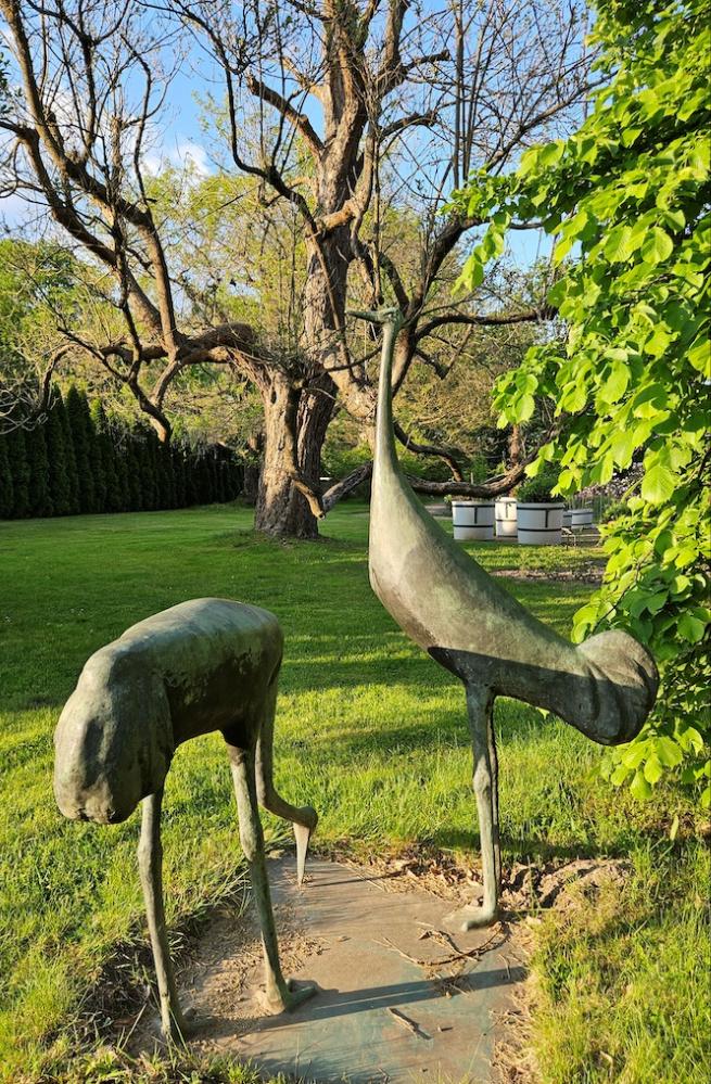 Diese Kraniche wurden im Ostdeutschen Rosengarten gestohlen - Wer hat Hinweise?