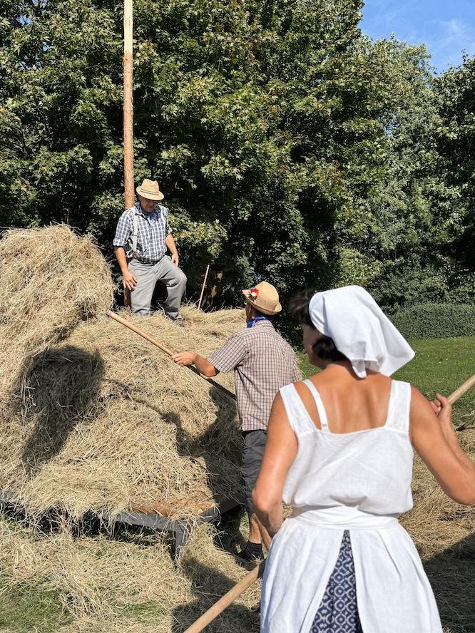 Heustapeln im Spreewald