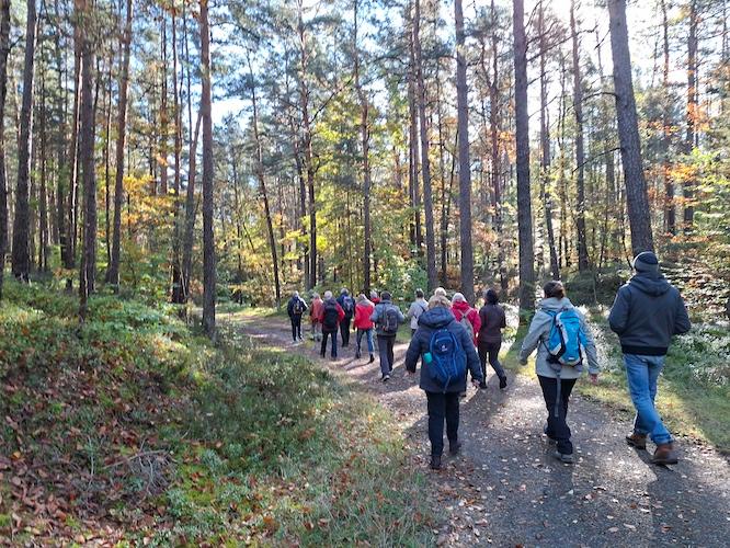 Wandern durch den Märchenwald