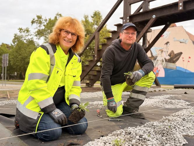 Lübben | Bepflanzung Kreisverkehr Lindenstraße