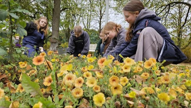 Parkseminar im Forster Rosengarten
